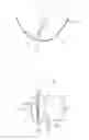Fig. 17 - Root canal length measuring apparatus and root canal therapy apparatus