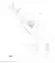 Fig. 02 - HANDSET AND OPTICAL TIP FOR PHOTOSYNTHESIS