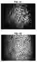 Fig. 02 - Kits, their production and method for brightening coating of teeth