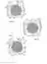 Fig. 04 - Device for drawing lines on a sized sheet of paper and maintaining registration of the paper when it has been removed and is being replaced on the device