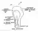 Fig. 01 - EDUCATIONAL BODY PART LEARNING KIT