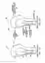 Fig. 04 - EDUCATIONAL BODY PART LEARNING KIT