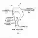 Fig. 05 - EDUCATIONAL BODY PART LEARNING KIT
