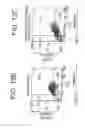 Fig. 07 - Methods for Inducing the Differentiation of Blood Monocytes into Functional Dendritic Cells