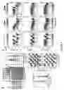 Fig. 05 - Multiplex cellular assays using detectable cell barcodes