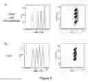 Fig. 10 - Multiplex cellular assays using detectable cell barcodes
