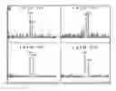 Fig. 01 - Method for HLA typing