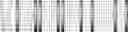 Fig. 110 - Method for HLA typing