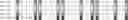 Fig. 115 - Method for HLA typing