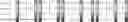 Fig. 129 - Method for HLA typing