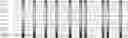 Fig. 13 - Method for HLA typing