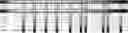 Fig. 22 - Method for HLA typing