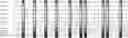Fig. 28 - Method for HLA typing