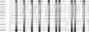 Fig. 29 - Method for HLA typing