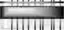 Fig. 30 - Method for HLA typing