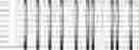 Fig. 33 - Method for HLA typing