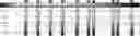 Fig. 37 - Method for HLA typing