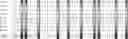 Fig. 40 - Method for HLA typing