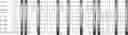 Fig. 55 - Method for HLA typing