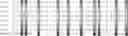 Fig. 71 - Method for HLA typing