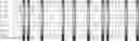 Fig. 78 - Method for HLA typing