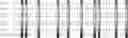 Fig. 79 - Method for HLA typing