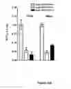 Fig. 09 - Materials and methods for treatment of cancer