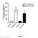 Fig. 11 - Materials and methods for treatment of cancer