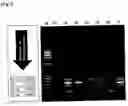 Fig. 07 - Probe and primer for tubercle bacillus detection, and method of detecting human tubercle bacillus therewith