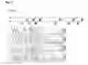 Fig. 05 - Methods For Detecting A Mutant Nucleic Acid