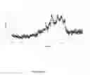 Fig. 07 - DETECTION OF DNA METHYLATION USING RAMAN SPECTROSCOPY