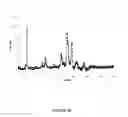 Fig. 11 - DETECTION OF DNA METHYLATION USING RAMAN SPECTROSCOPY