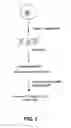 Fig. 02 - Methods And Kits For Producing Labeled Target Nucleic Acid For Use In Array Based Hybridization Applications