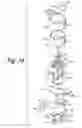 Fig. 34 - Method for performing an assay with a nucleic acid present in a specimen