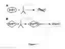 Fig. 02 - Methods of detection using immuno-Q-Amp technology