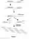 Fig. 03 - Methods of detection using immuno-Q-Amp technology