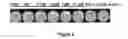 Fig. 06 - Methods of detection using immuno-Q-Amp technology