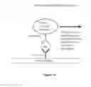 Fig. 11 - Methods of detection using immuno-Q-Amp technology