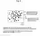 Fig. 07 - Method and apparatus for sample preparation