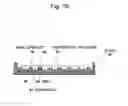 Fig. 11 - Method and apparatus for sample preparation