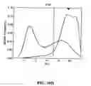 Fig. 16 - Methods and compositions for diagnosing epithelial cell cancer