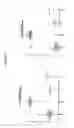 Fig. 05 - Compositions, kits, and methods for identification, assessment, prevention, and therapy of endometriosis