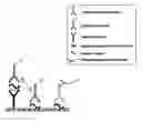 Fig. 01 - Method for simultaneously detecting an antigen of, and an antibody against, an infectious microorganism
