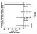 Fig. 12 - AGLYCO PRODUCTS AND METHODS OF USE