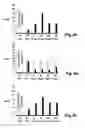 Fig. 06 - METHODS AND APPARATUS TO RECOGNIZE NERVE INJURIES