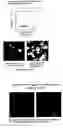 Fig. 01 - Composition For Creating an Artificial Bone Marrow Like Environment and Use Thereof