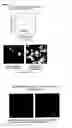 Fig. 08 - Composition For Creating an Artificial Bone Marrow Like Environment and Use Thereof