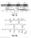 Fig. 08 - Methods of modulating cold sensory perception via a cold- and menthol-sensitive receptor (CMR1)