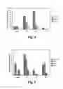Fig. 05 - Methods and materials relating to novel stem cell growth factor-like polypeptides and polynucleotides