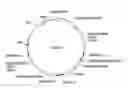 Fig. 01 - Recombinant expression vector elements (rEVEs) for enhancing expression of recombinant proteins in host cells